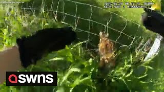 State trooper rescues fawn stuck in wire fence and reunites it with its mother  SWNS [upl. by Tegdig]