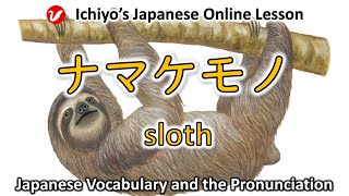 ナマケモノ namakemono  sloth  Japanese Vocabulary and the Pronunciation [upl. by Llerrej779]