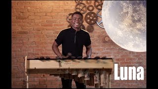 Don Omar  Luna CoverPapinm en la Marimba y Diego ortiz Dao [upl. by Iggy18]