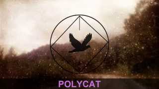 POLYCAT  ลูกกรุง Audio [upl. by Eidua]