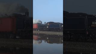 Steam Locomotive K183 powering through the fog 😍🚂 train [upl. by Ihp]