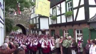 Herrlichkeit Erpel Blumencorso Weinfest [upl. by Yrahk]