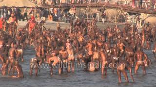 Best of Allahabad Kumbh mela  Worlds largest religious gathering [upl. by Lierbag]