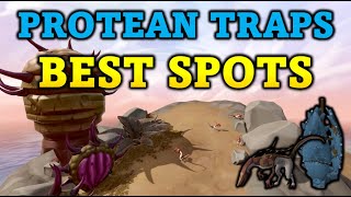 Best Spots for Protean Hunter Traps  Protean Trap Guide  RuneScape 3 [upl. by Elvera]