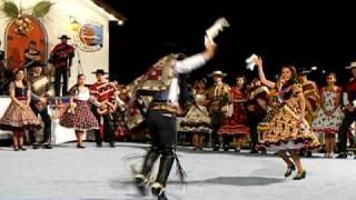 Campeones Nacionales de cueca Arica 2010 [upl. by Hekking]