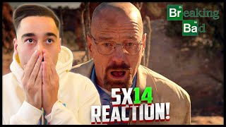 Breaking Bad 5x14 Ozymandias Reaction First Time Watching [upl. by Leamhsi616]