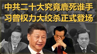 中共二十大常委猜测，团派强势回归，胡海峰会是接班人吗？习近平曾庆红会不会大对决？中共权斗又现血雨腥风 [upl. by Vickey]