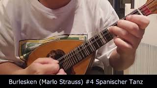 【Mandolin】Burlesken Marlo Strauss “4 Spanischer Tanz” [upl. by Onder]