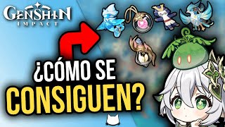 ¡¡Estas son TODAS las MASCOTAS que hay en Genshin Impact y CUALES PUEDES TENER [upl. by Eirellam]