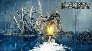 Elden Ring Shadow of the Erdtree  Ghostflame Dragon Boss Fight [upl. by Adnilemre57]