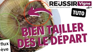 Comment tailler sa vigne à la formation en respectant les flux de sève  le tutoriel Réussir Vigne [upl. by Liman]