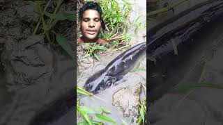 Viral🐬🐬2024fish​ fishing video​ [upl. by Buderus]