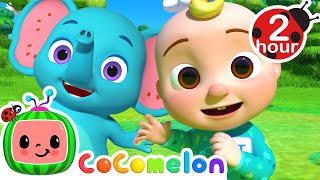 My Name Song  2 HOURS of CoComelon Nursery Rhymes amp Kids Song  Animal Songs For Kids [upl. by Selym]