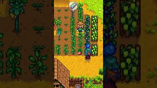 Jak odblokować kasyno w Stardew Valley [upl. by Haila]