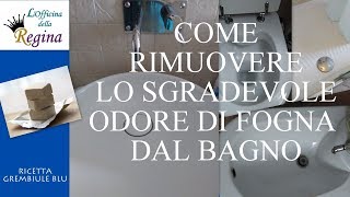 Come rimuovere lo sgradevole odore di fogna dal bagno [upl. by Lilli995]