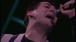 Spandau Ballet  True Live [upl. by Kilgore]