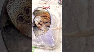 The snake was in the abandoned TV Habib Bhai rescued the snake Part 2 snake africanwildlife [upl. by Bocoj858]