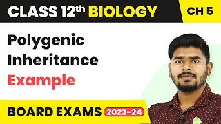 Example of Polygenic Inheritance  Principles of Inheritance and Variation  Class 12 202223 [upl. by Abraham]