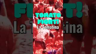 La Tomatina Festival spain tomato [upl. by Agon]