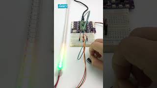 Control Neopixel Lights with Potentiometer diyelectronics [upl. by Jadda]