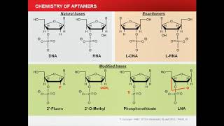 Aptamer imaging [upl. by Iramat]