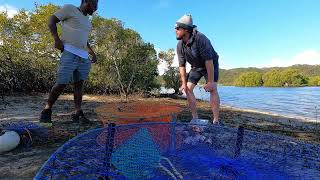 Queensland MUD CRABBING My first attempt Part 1 [upl. by Dex]