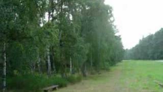 Children from Lidice [upl. by Jemina904]