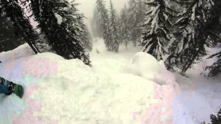 Conifers of gnarnia pillow drop revelstoke [upl. by Ailerua]