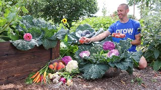 Brilliant Backyard Garden Harvest Sustainable Food Forest on a Suburban Lot [upl. by Oynotna]