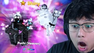 GETTING UNIQUE SHINY PUCHI HEAVEN SHOWCASE  Anime Adventures [upl. by Ottavia]