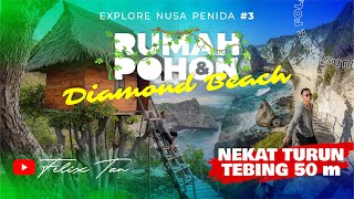 BALI  EXPLORE NUSA PENIDA 3  PERJALANAN EKSTRIM KE RUMAH POHON YANG INSTAGRAMABLE amp DIAMOND BEACH [upl. by Rigby84]