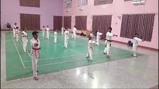 NTPC Mouda Karate Team [upl. by Zailer861]