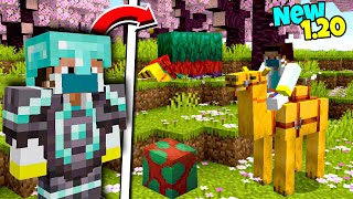 I Played the NEW 120 Update In Minecraft Survival  Mcaddon Survival Series 13 [upl. by Cirred]