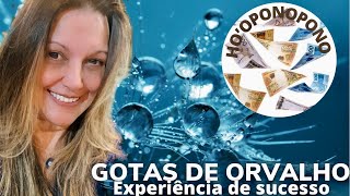 EXPERIÊNCIA PESSOAL DE SUCESSO  GOTAS DE ORVALHO [upl. by Saxen848]