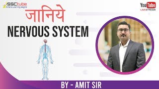 🔴MUST WATCH  19102019  Nervous System  Biology Special  By Amit Sir [upl. by Kenwee]