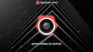 ammonites w lyrics [upl. by Agnew]