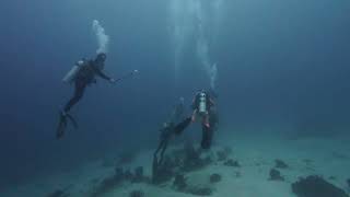 Dive di Desa Amet yang berlokasi di Ambon  Dry And Wet Together  SiAbeJalanMulu [upl. by Asiat]