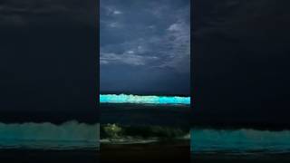 Bioluminescent waves light up Chennai beach at nightChennai ecrbeach bioluminescent chennaibeach [upl. by Rebliw]