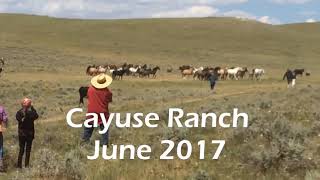 Cayuse Ranch [upl. by Sirkin]