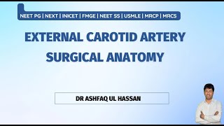 External Carotid Artery  Angiology for NEET PG  FMGE INICET [upl. by Leamsi257]