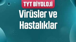 29 Sınıflandırma  Virüsler ve Hastalıklar [upl. by Rendrag]