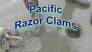 2024 Pacific Razor Clamming [upl. by Alberta683]