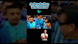 Cuál es el pájaro más educado humor comedia laprevia adivinanza [upl. by Afrika460]