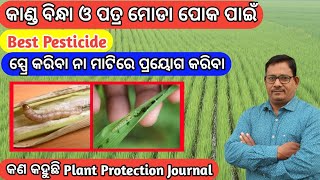 Paddy Stem Borer Control Best Pesticide ସ୍ପ୍ରେ କରିବା ନା ମାଟିରେ ପ୍ରୟୋଗ କରିବା [upl. by Ahsemal]