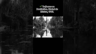 🌱 Trajineras en Xochimilco Ciudad de México 1905 Tomado de Fototeca Nacional INAH [upl. by Shorter]