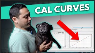 How to Create a Calibration Curve  Shimadzu Lab Solutions [upl. by Lyndell]