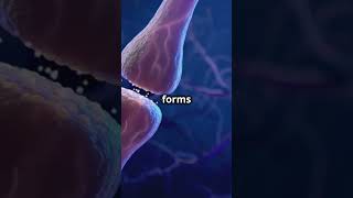 Endocytosis and Exocytosis How Cells Move Materials in and out of the Cell [upl. by Tammy]