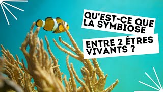 Questce que la symbiose entre 2 êtres vivants [upl. by Meriel]