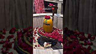 Har har Mahadev reel love mishaan wedding mishaa devotionalsong song misha harharmahadevso [upl. by Mandle]