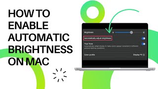 How to Enable Automatic Brightness on Mac [upl. by Ruthven923]